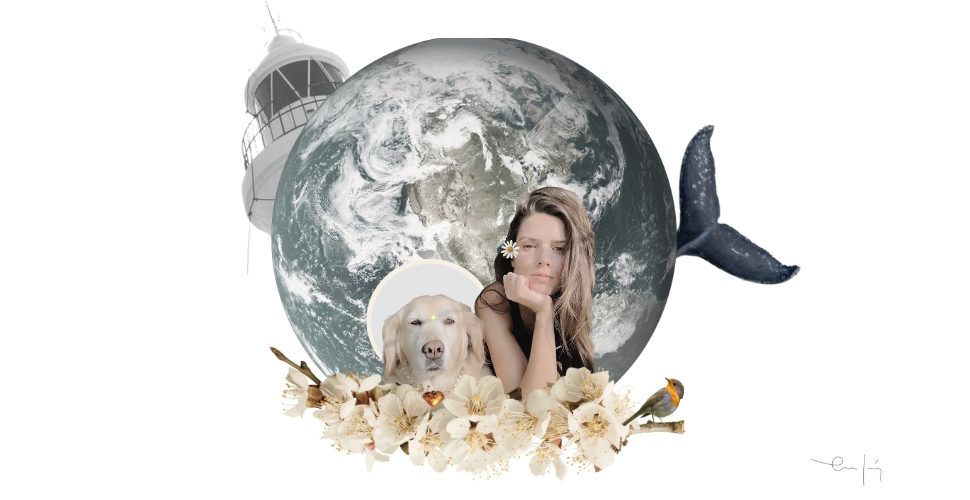 collage personalizado mundo boo1