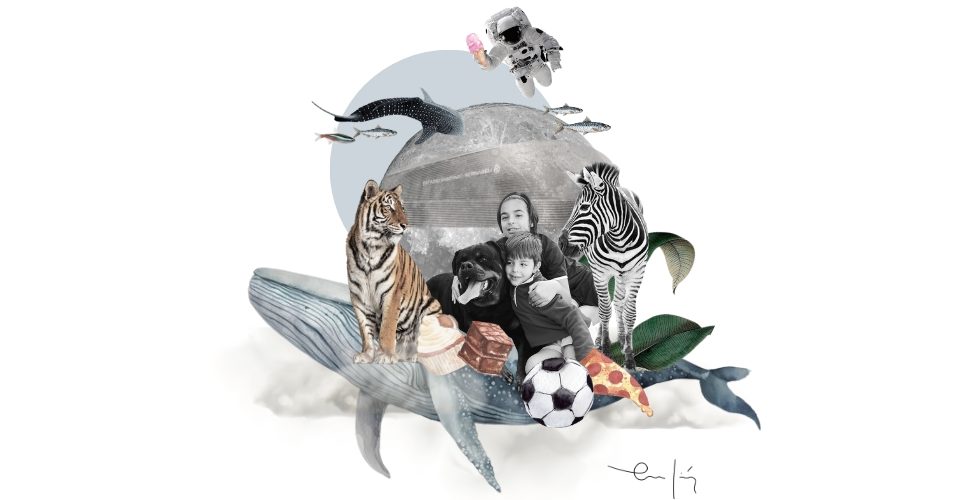 collage personalizado mundo boo6